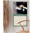 Kittens 2026 Wall Calendar WCA103836